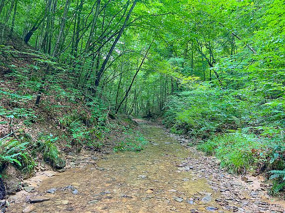 5th image of 0 Sand Gap Rd