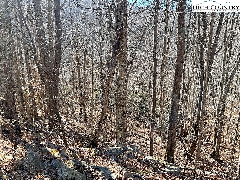 1st image of 104 Wintercrest Lane
