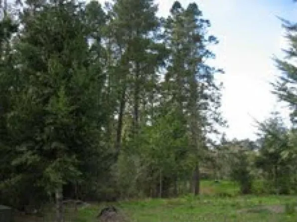 15751 Forest View Rd, Manchester, CA 95459