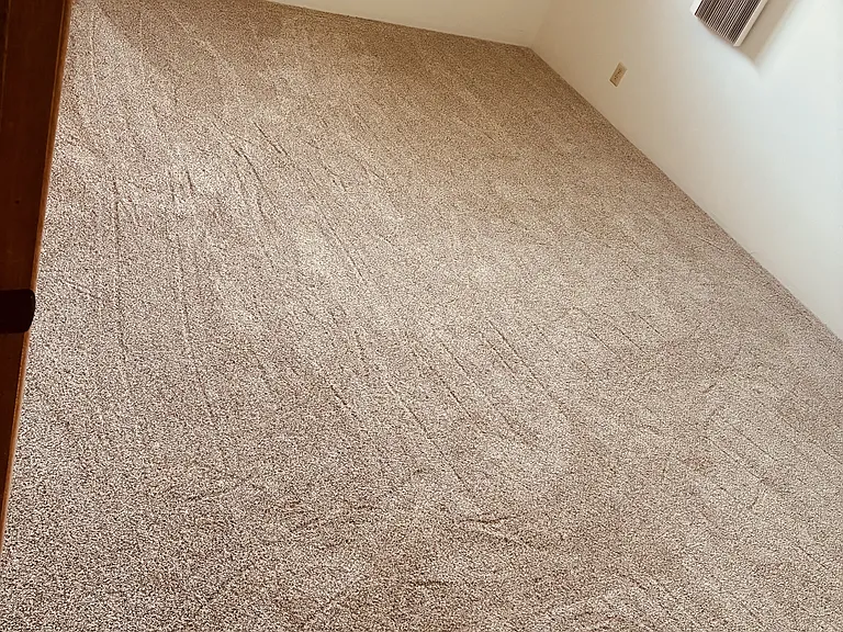3311 Mapu Pl #2 — Photo 8