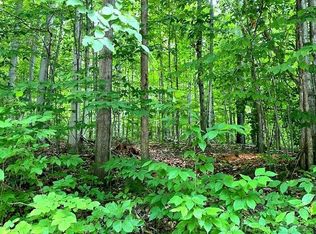 0 Klaffen St, Bellaire, MI 49615