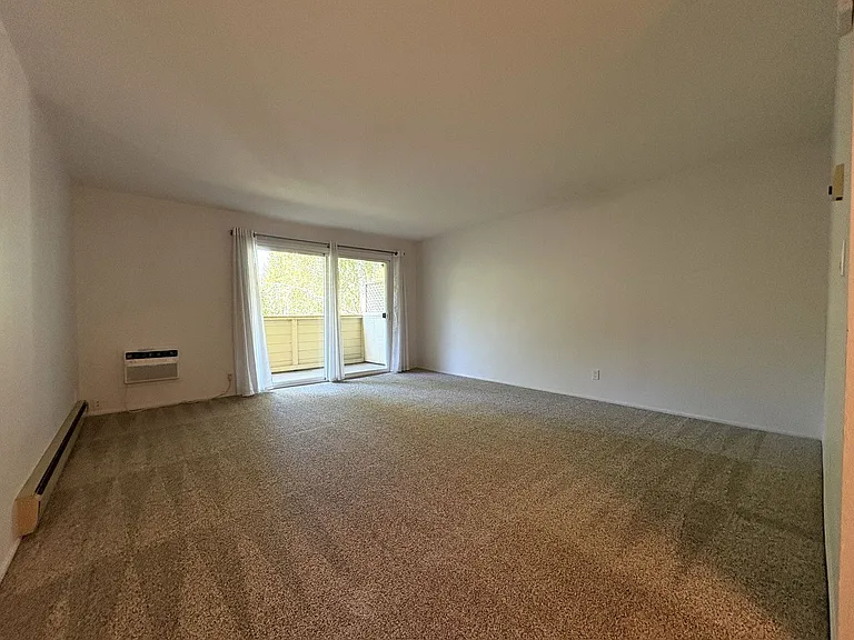 1031 Crestview Dr #205 — Photo 6