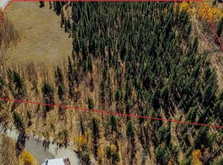 459 Platte River Dr, Fairplay, CO 80440