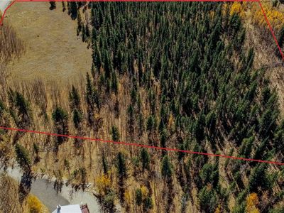 459 Platte River Drive, Fairplay, CO, 80440