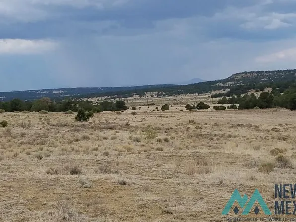 89 Dan Gatlin Rd, Pie Town, NM 87827