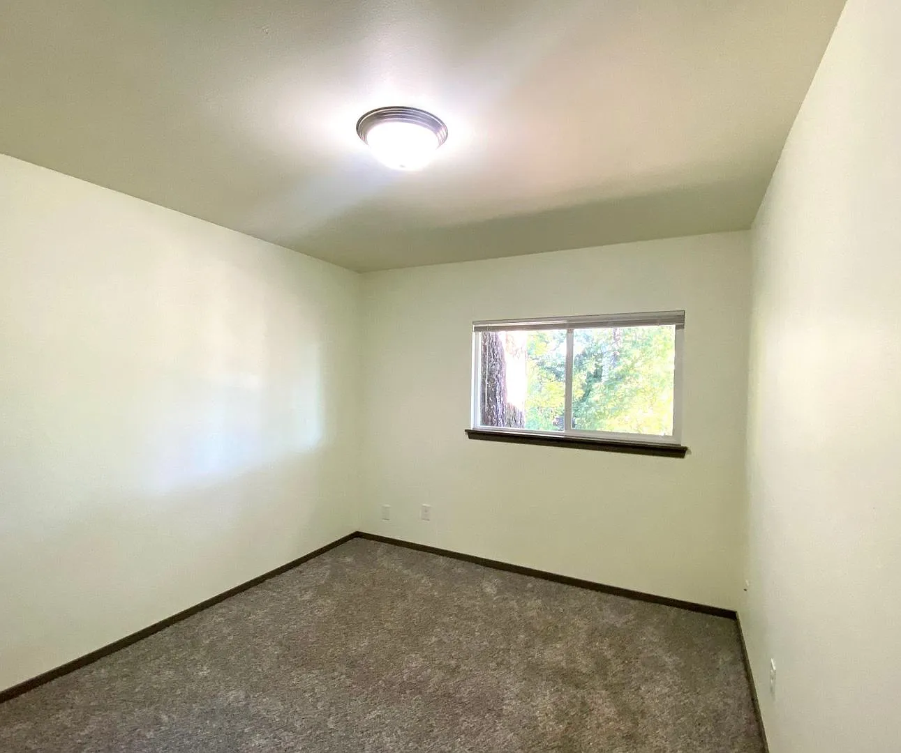 Clover Creek Apartments — Photo 4