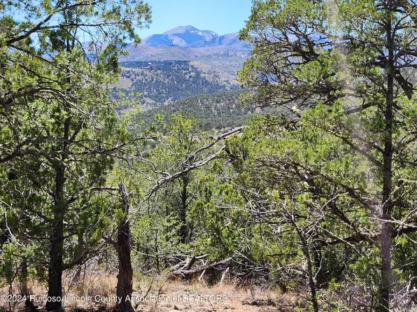 L90 Sandesta Dr, Alto, NM 88312