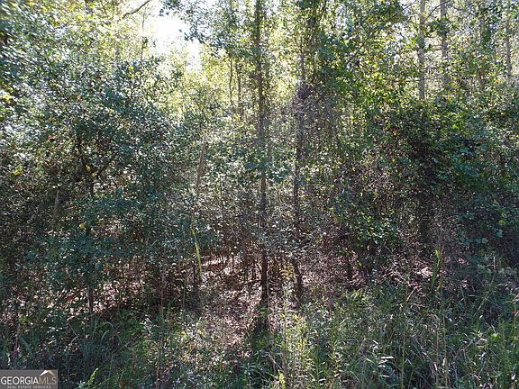 3rd image of Dixon Rd