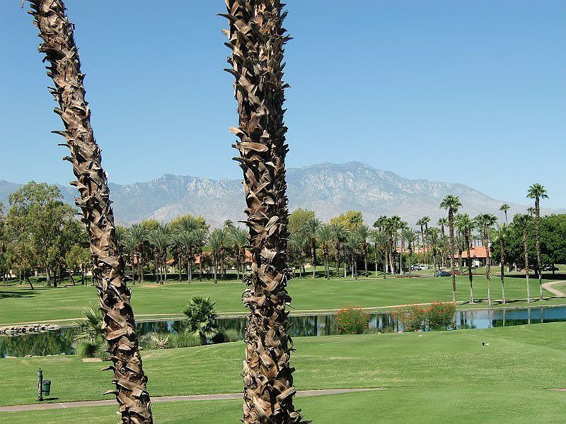 1st image of 141 Desert Falls Cir