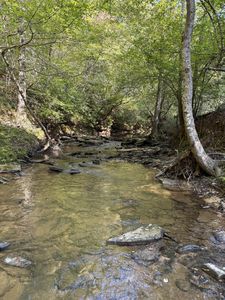 1567 National Forest Rd #121, Houston, AL, 35572