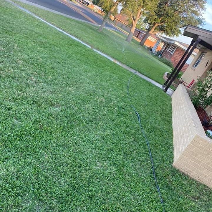 New Grass