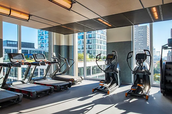 Rented by Gotham Organization | media 16