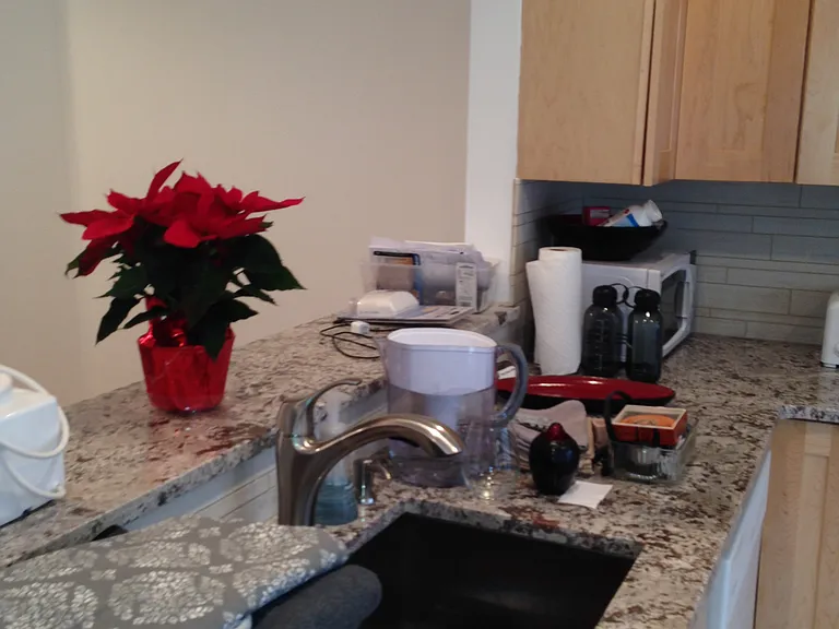 10651 Pine Haven Ter — Photo 12