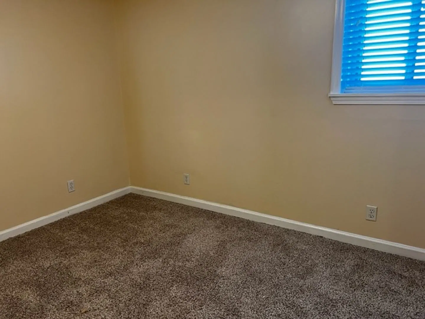 2 bed, 1.0 bath, 980 sqft, $1,350 — Photo 3