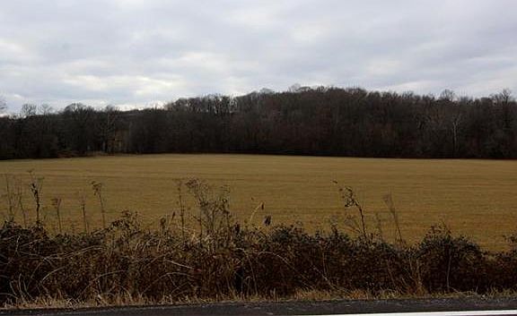 3rd image of 3278 Highway 46n Lot 0