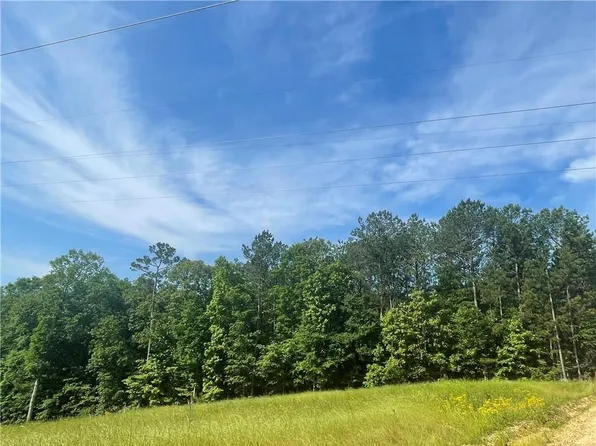 0 Lee Road 951, Smiths Station, AL 36877
