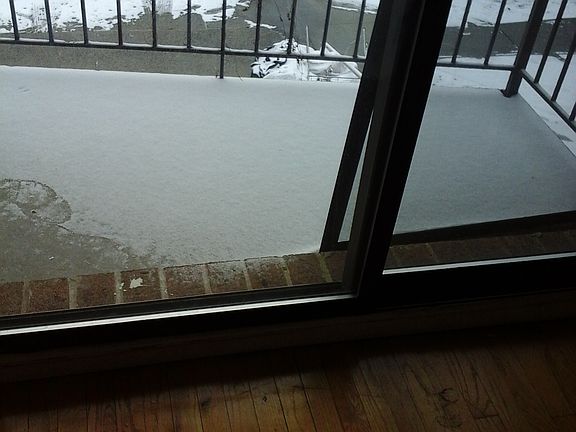 3rd image of 7534 113th St APT 3