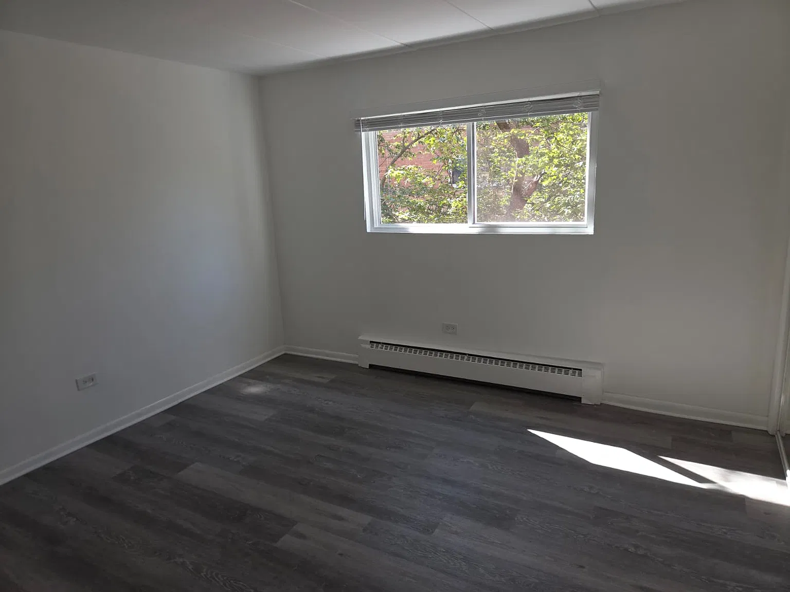 3 bed, 1000 sqft, $1,500 — Photo 3