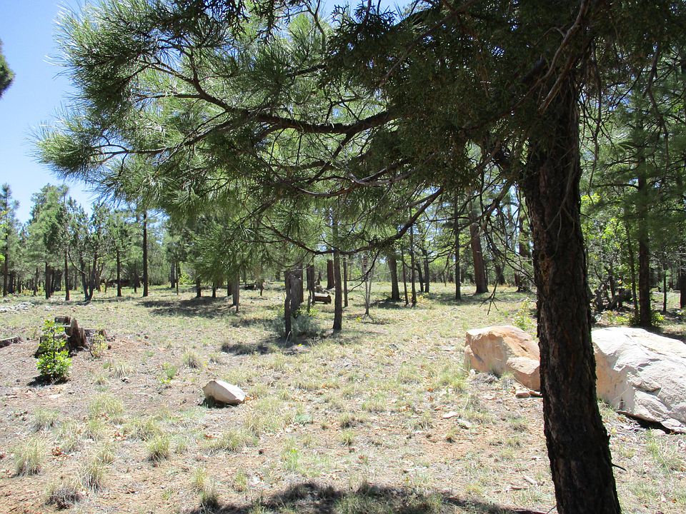 2nd image of 1956 Sugar Pine Dr