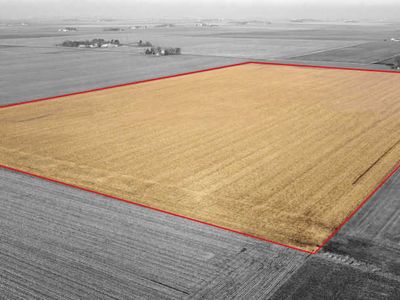 255 County Road 2200 E, Longview, IL, 61852