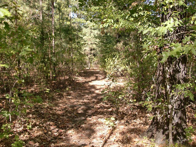 2nd image of 545 Highway 317