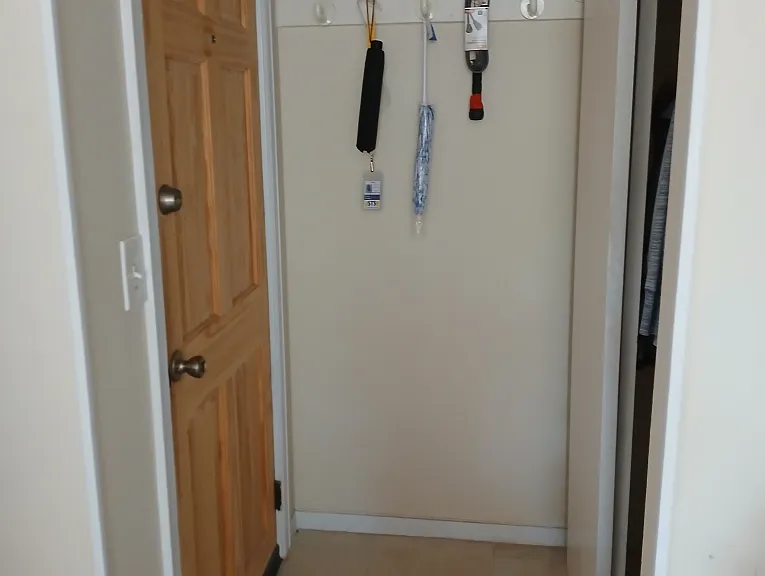 Entrance and Closet