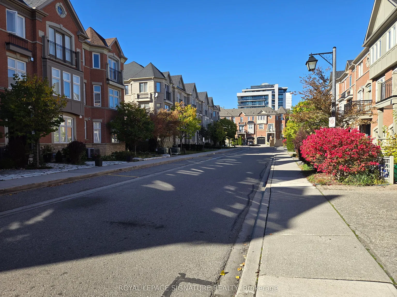 3 bed, $3,350 — Photo 4