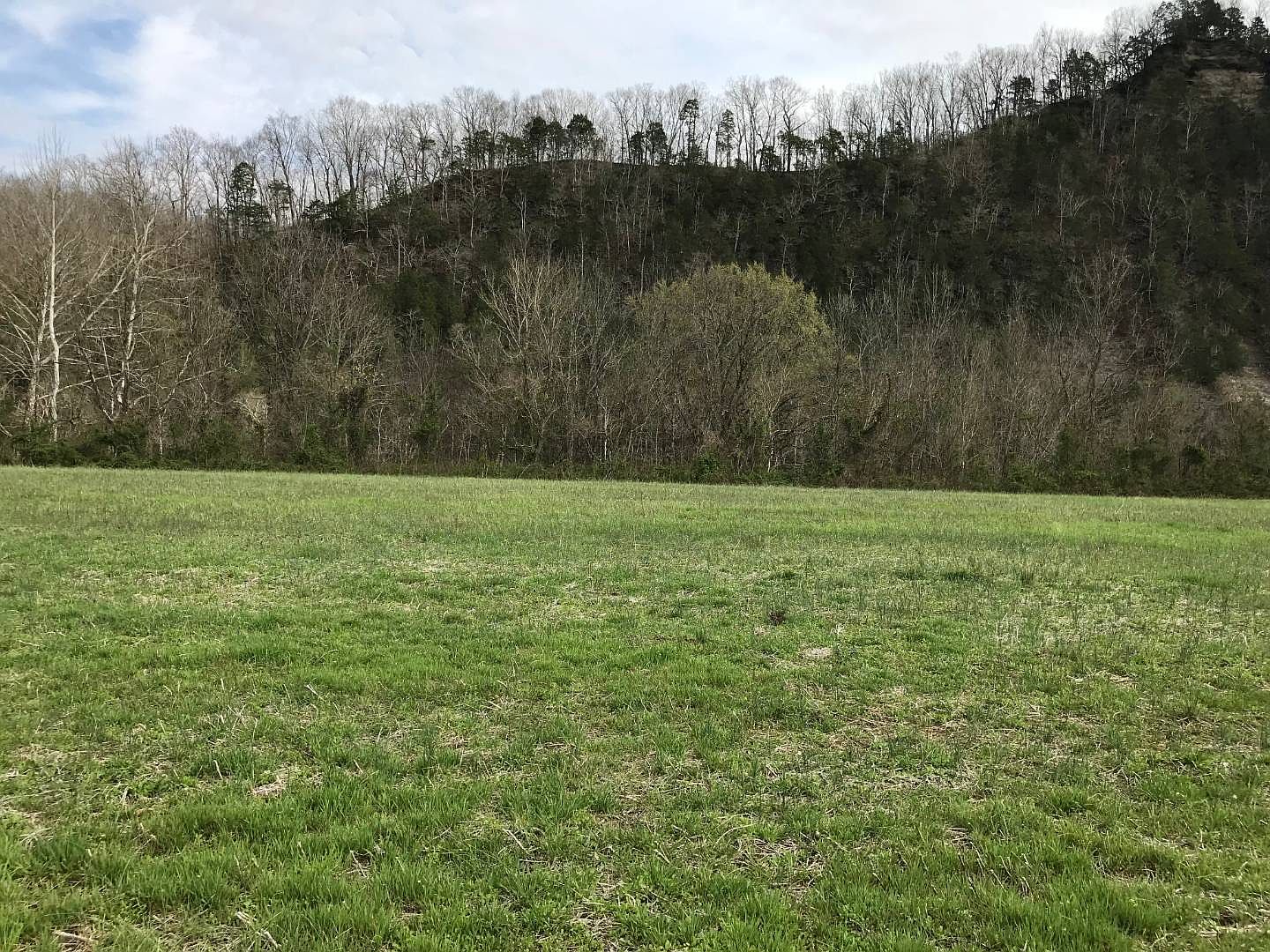 17 Scotts Ferry Rd, Burkesville, KY 42717 Zillow