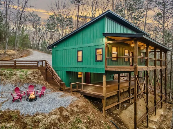 307 Ross Rd, Mineral Bluff, GA 30559