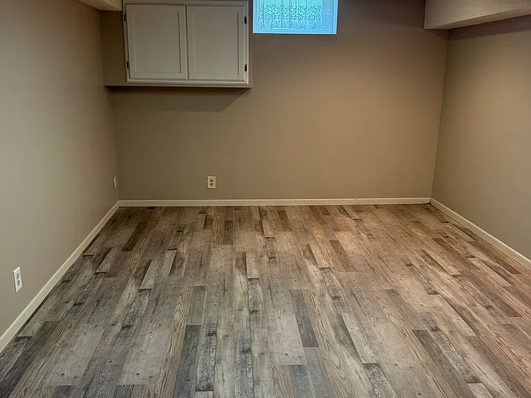 Basement living room