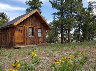 125 Singletree Rd, Buena Vista, CO 81211