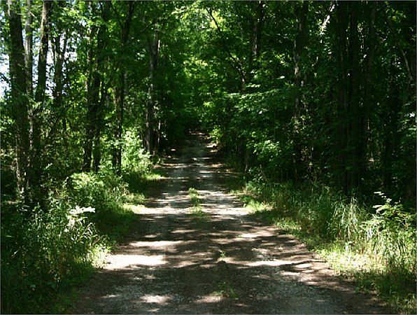 2nd image of Horse Mtn Rd