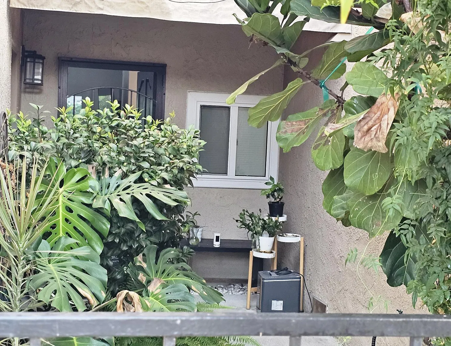 3 bed, 2.5 bath, 1806 sqft, $4,750 — Photo 3