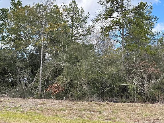 5th image of 10693 Ruger Rd