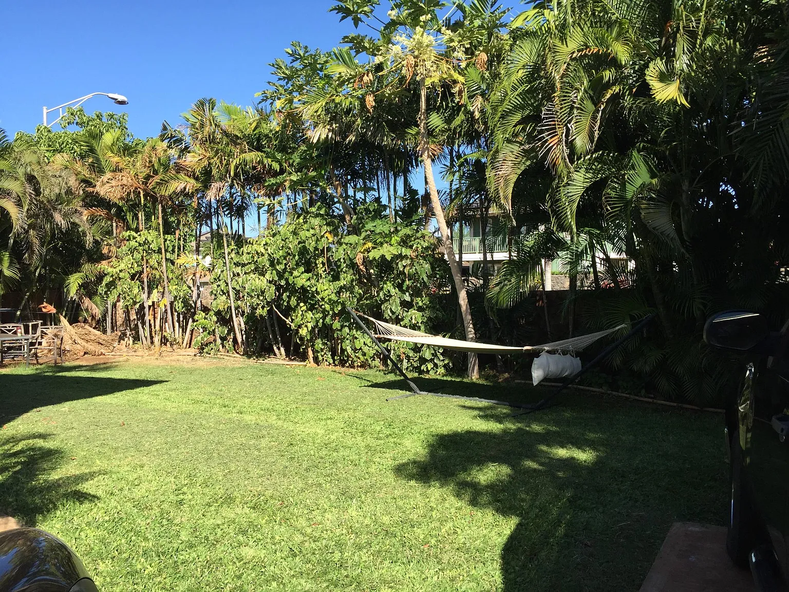 Studio, 600 sqft, $1,800 — Photo 2