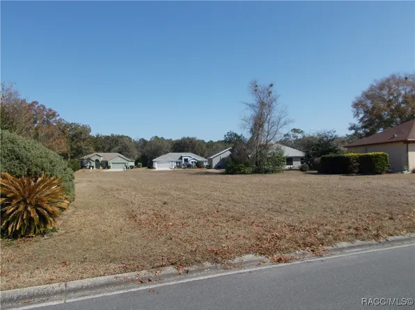 162 W Romany Loop, Beverly Hills, FL 34465