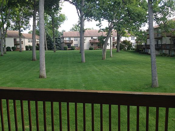 Great Backyard!