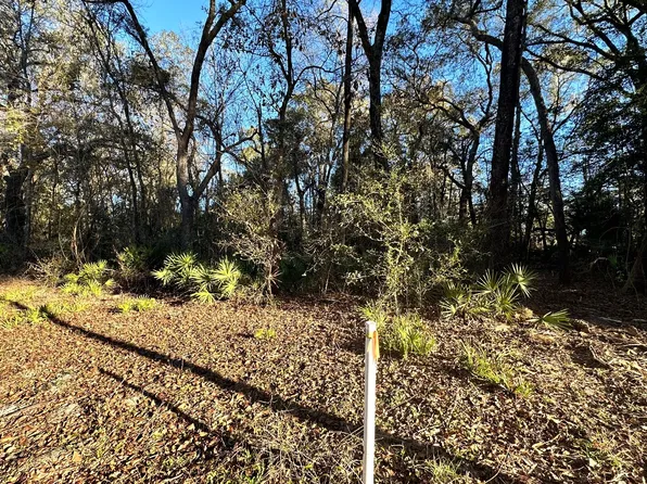 198th Trce, O'Brien, FL 32071