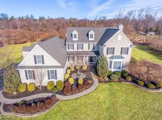 5 Turtle Ct, Flemington, NJ 08822