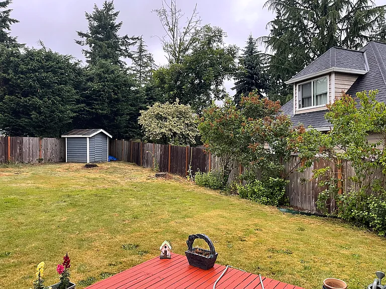 Back yard, shed, neighbor house