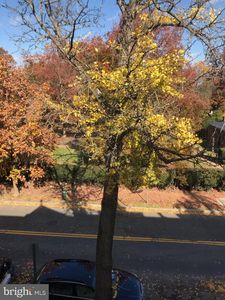 3022 R St NW APT 3, Washington, DC, 20007