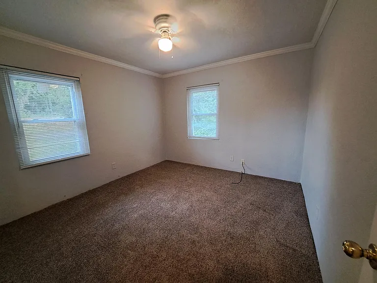 705 Alexander St #1 — Photo 5