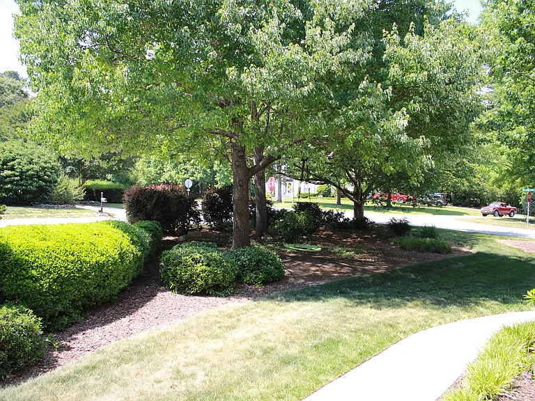 Front Yard