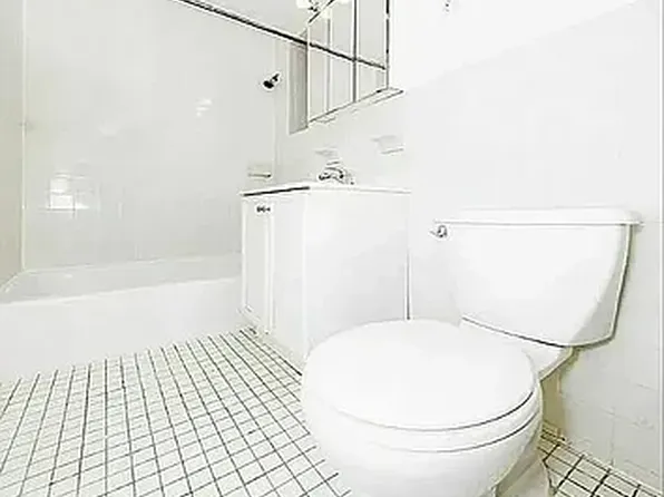 344 East 55th Street 5B image 4 of 4