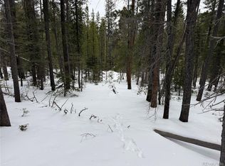 Lot 2806 Moir Drive LOT 2806, Fort Garland, CO 81133