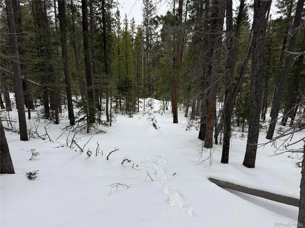 Lot 2806 Moir Drive LOT 2806, Fort Garland, CO 81133