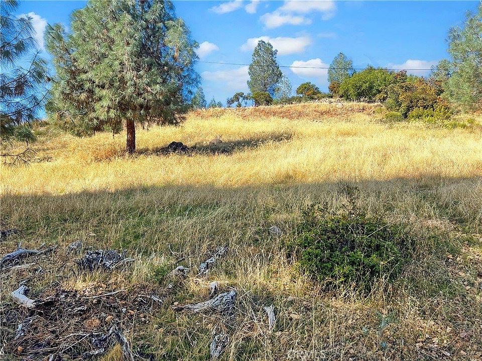 1st image of 10203 El Capitan Way