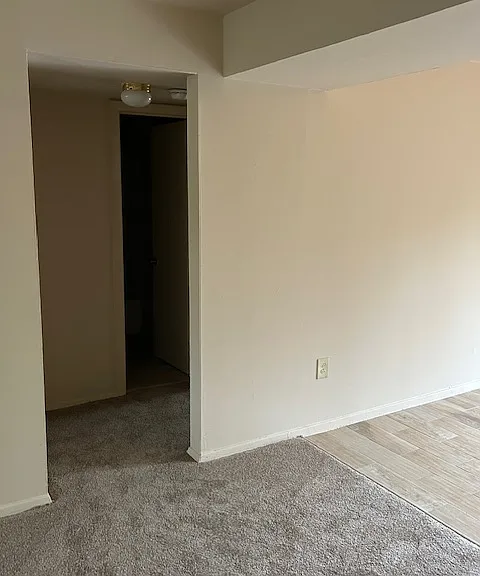 Southern Terrace — Photo 5