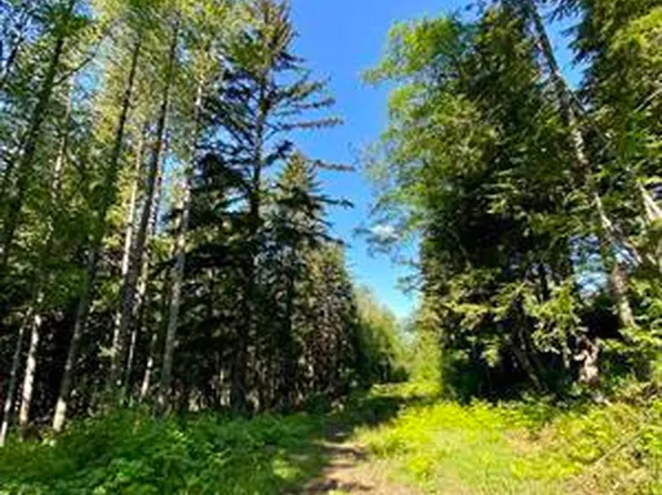 LOT Orchard Subdivision #B, Haines, AK 99827