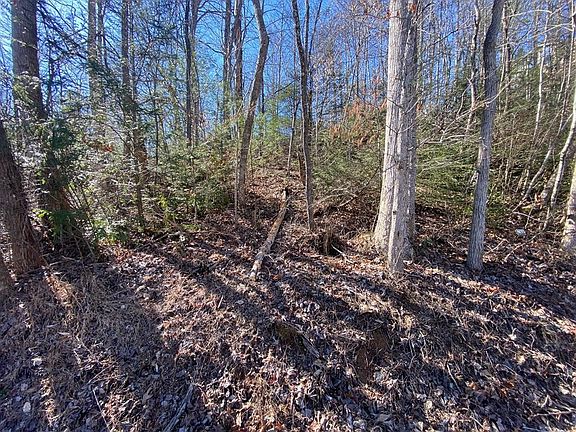5th image of 1 Cole Ln Lot 1